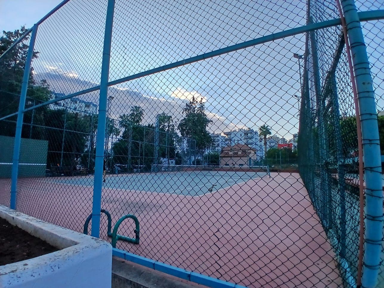 6